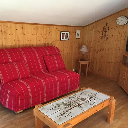 Bel Rénové à Avec Vue Sur Le Mont-blanc, Parking Et Animaux Admis - Fr-1-517-51 * Chamonix