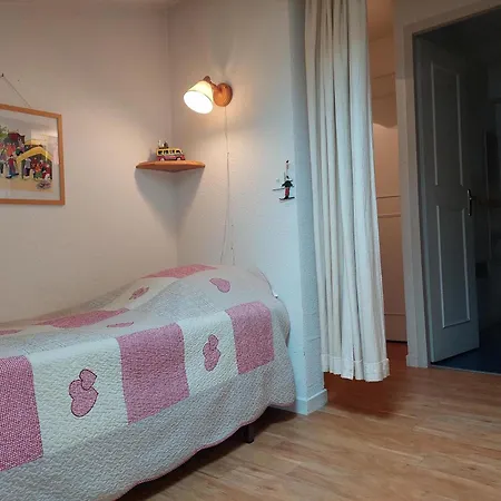 Bel Rénové à Avec Vue Sur Le Mont-blanc, Parking Et Animaux Admis - Fr-1-517-51 *