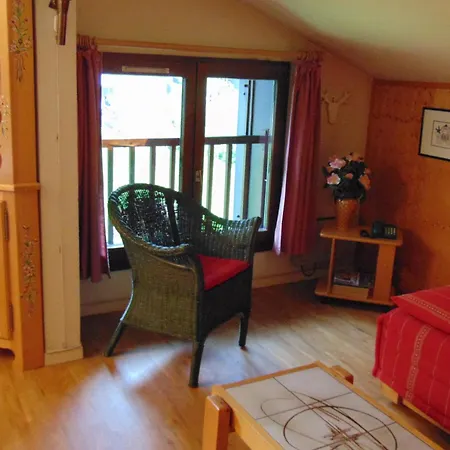 Appartement Bel Rénové à Avec Vue Sur Le Mont-blanc, Parking Et Animaux Admis - Fr-1-517-51