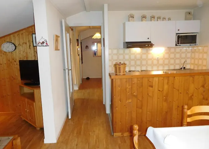 Bel Rénové à Avec Vue Sur Le Mont-blanc, Parking Et Animaux Admis - Fr-1-517-51 Appartement *