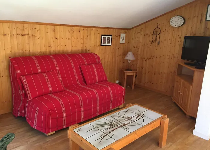 Bel Rénové à Avec Vue Sur Le Mont-blanc, Parking Et Animaux Admis - Fr-1-517-51 * Chamonix