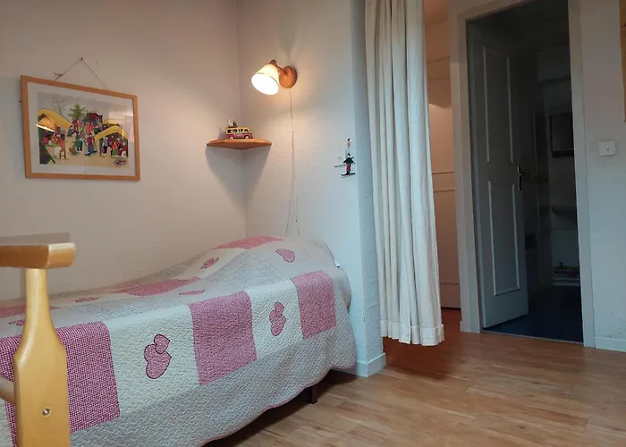 Bel Rénové à Avec Vue Sur Le Mont-blanc, Parking Et Animaux Admis - Fr-1-517-51 *