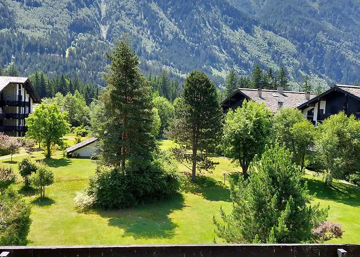 Bel Rénové à Avec Vue Sur Le Mont-blanc, Parking Et Animaux Admis - Fr-1-517-51 * Chamonix