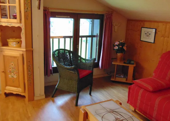 Appartement Bel Rénové à Avec Vue Sur Le Mont-blanc, Parking Et Animaux Admis - Fr-1-517-51